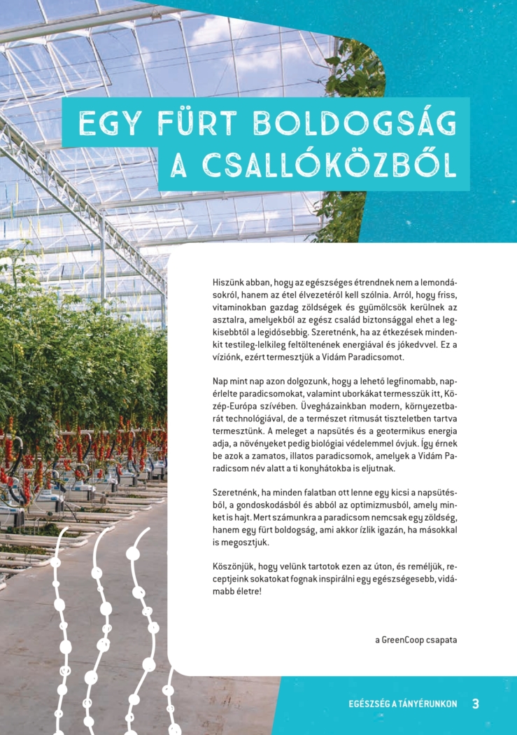 Receptfuzet B5 HU v5 2 web 2 page 0003