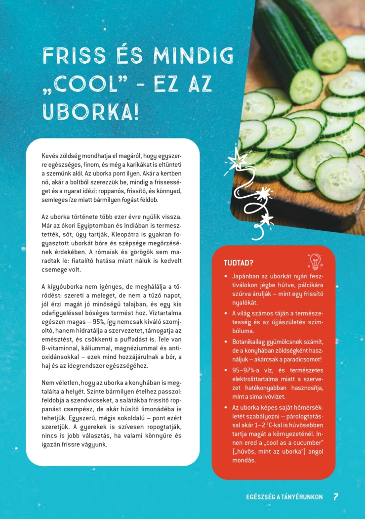 Receptfuzet B5 HU v5 2 web 2 page 0007
